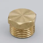 Brass Plug 1″